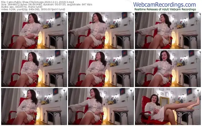 2024/12/11/cams-nylonlegs-23-32-13