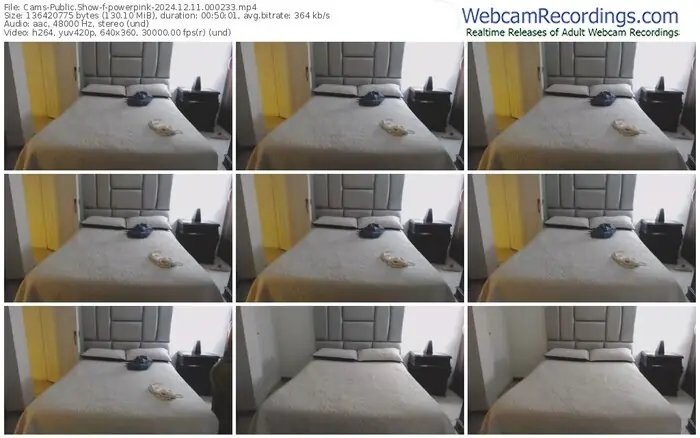 2024/12/11/cams-powerpink-00-02-33