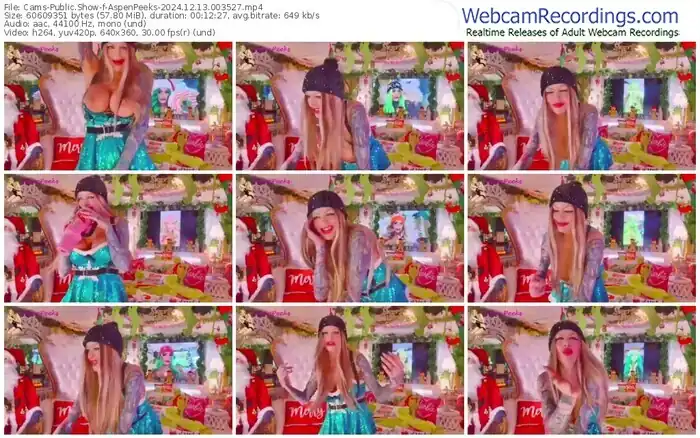 2024/12/13/cams-aspenpeeks-00-35-27