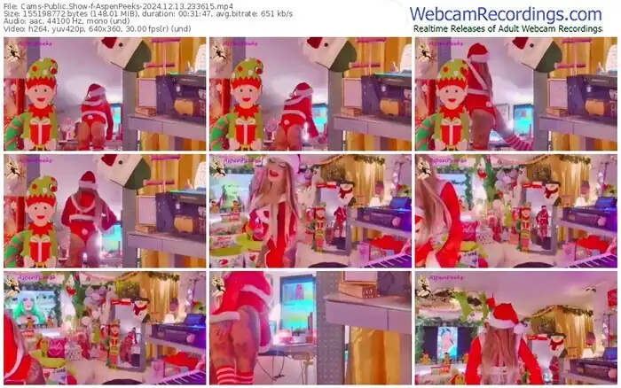 2024/12/13/cams-aspenpeeks-23-36-15