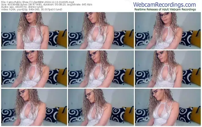 2024/12/13/cams-cyberbbw-01-40-05