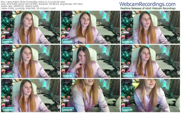 2024/12/13/cams-vinnasky-21-41-53