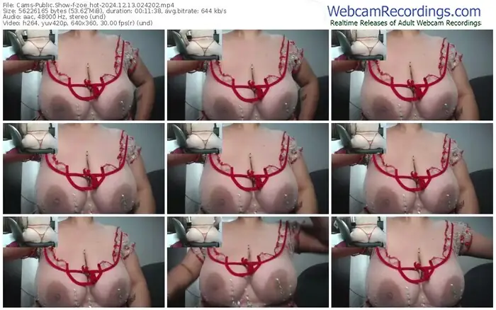 2024/12/13/cams-zoe_hot-02-42-02