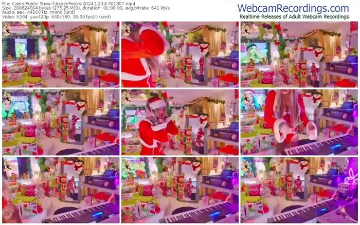 2024/12/14/cams-aspenpeeks-00-18-07