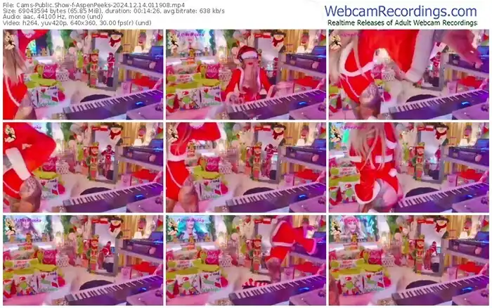 2024/12/14/cams-aspenpeeks-01-19-08