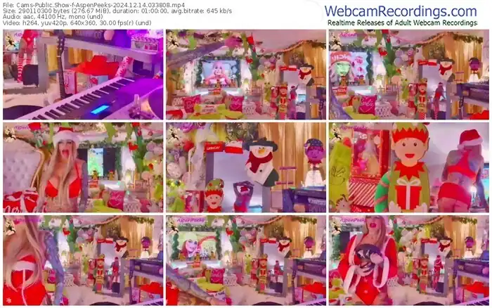 2024/12/14/cams-aspenpeeks-03-38-08