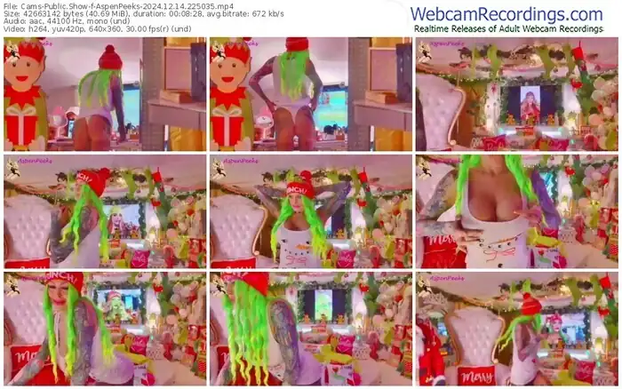 2024/12/14/cams-aspenpeeks-22-50-35