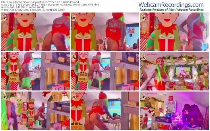 2024/12/15/cams-aspenpeeks-02-05-43