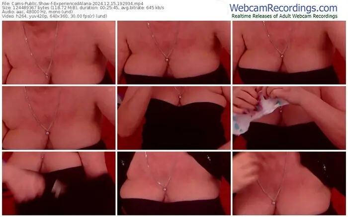 2024/12/15/cams-experiencedalana-19-29-34