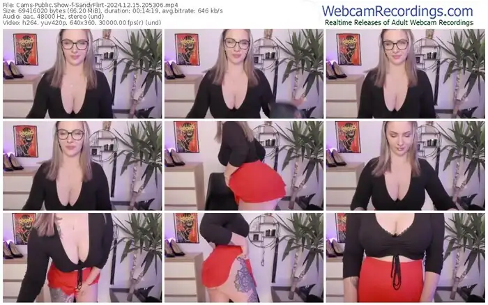 2024/12/15/cams-sandyflirt-20-53-06