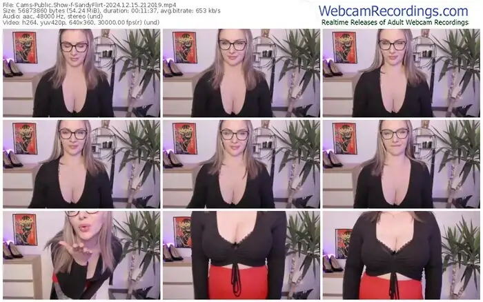 2024/12/15/cams-sandyflirt-21-20-19