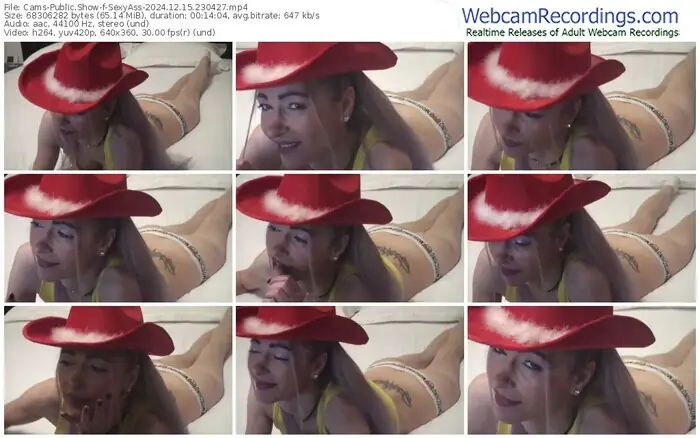 2024/12/15/cams-sexyass-23-04-27