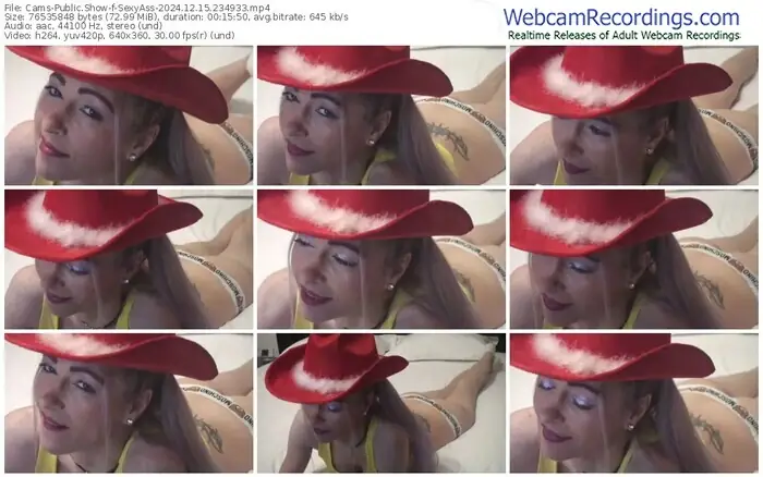 2024/12/15/cams-sexyass-23-49-33