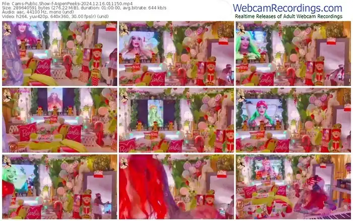 2024/12/16/cams-aspenpeeks-01-11-50