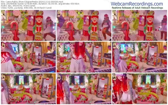 2024/12/16/cams-aspenpeeks-03-00-30