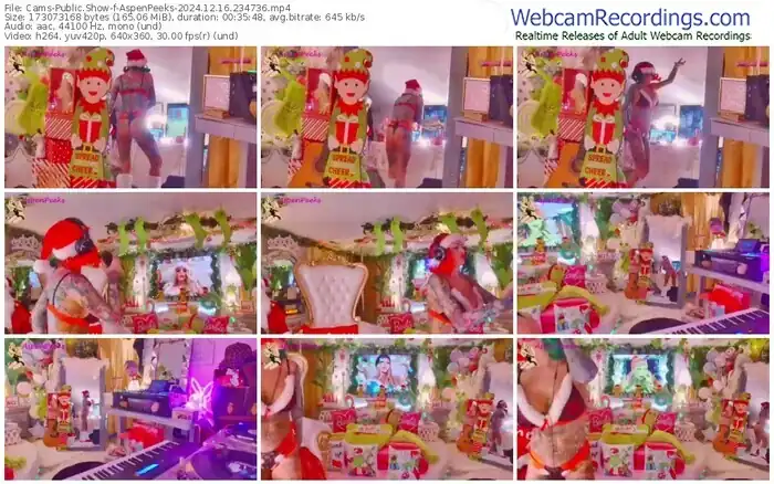 2024/12/16/cams-aspenpeeks-23-47-36