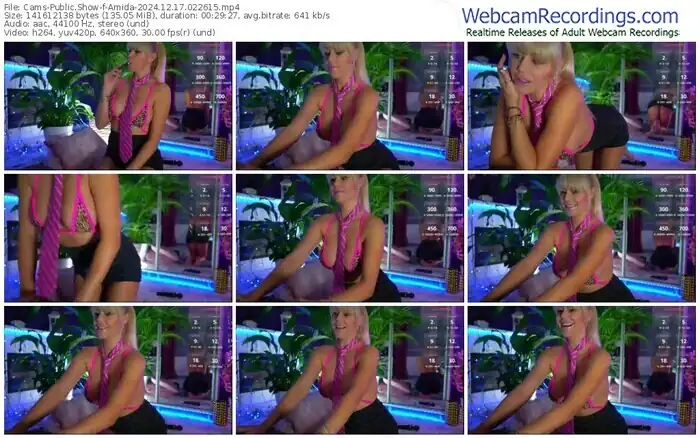 2024/12/17/cams-amida-02-26-15