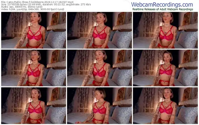 2024/12/17/cams-golddesire-18-23-27