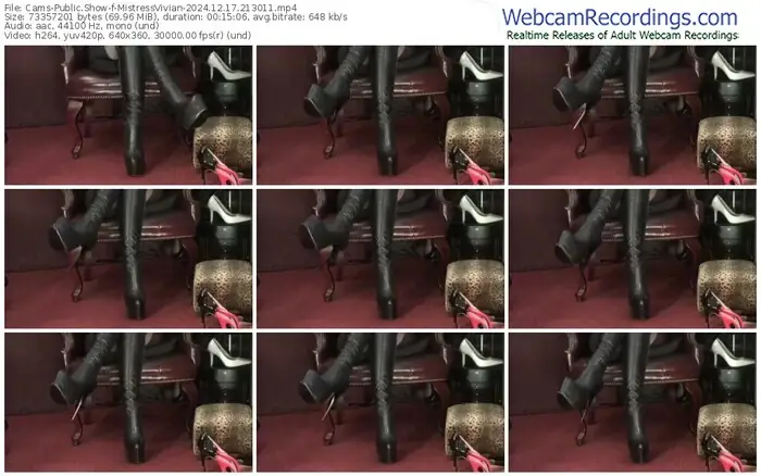 2024/12/17/cams-mistressvivian-21-30-11