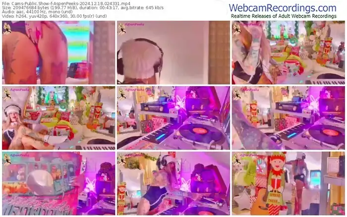 2024/12/18/cams-aspenpeeks-02-43-31