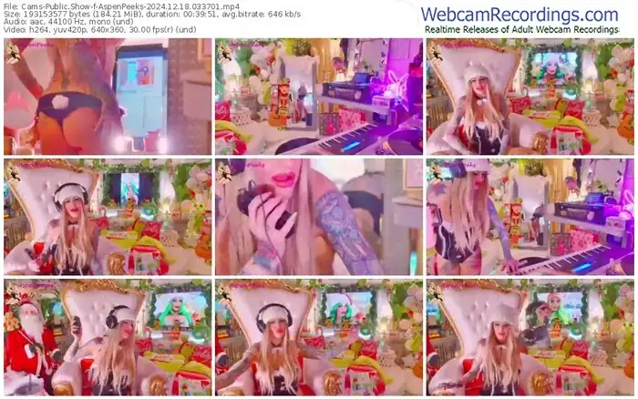 2024/12/18/cams-aspenpeeks-03-37-01