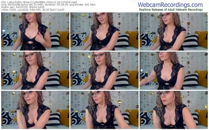 2024/12/18/cams-cyberbbw-01-59-18