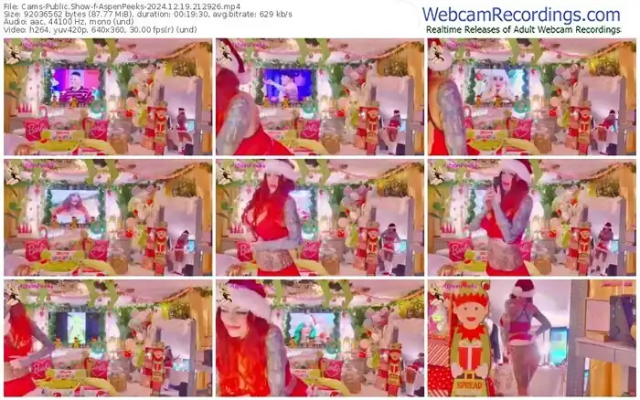 2024/12/19/cams-aspenpeeks-21-29-26