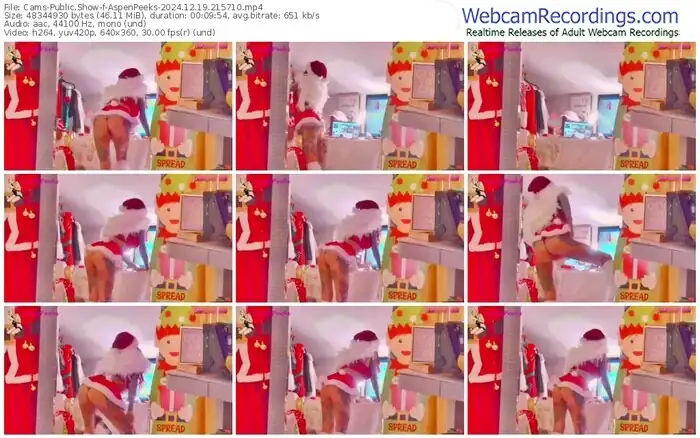 2024/12/19/cams-aspenpeeks-21-57-10