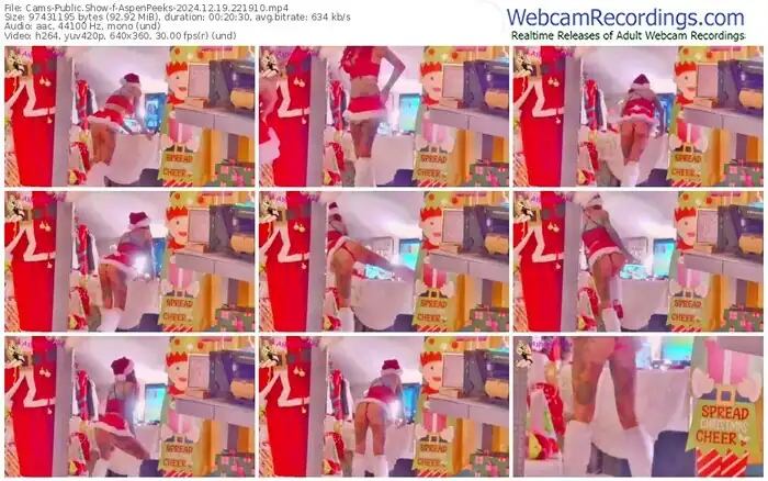 2024/12/19/cams-aspenpeeks-22-19-10