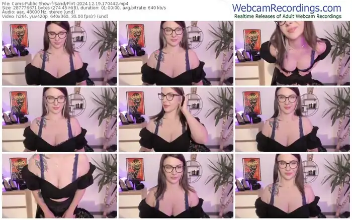 2024/12/19/cams-sandyflirt-17-04-42