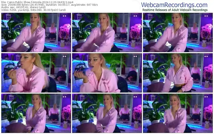 2024/12/20/cams-amida-04-43-13