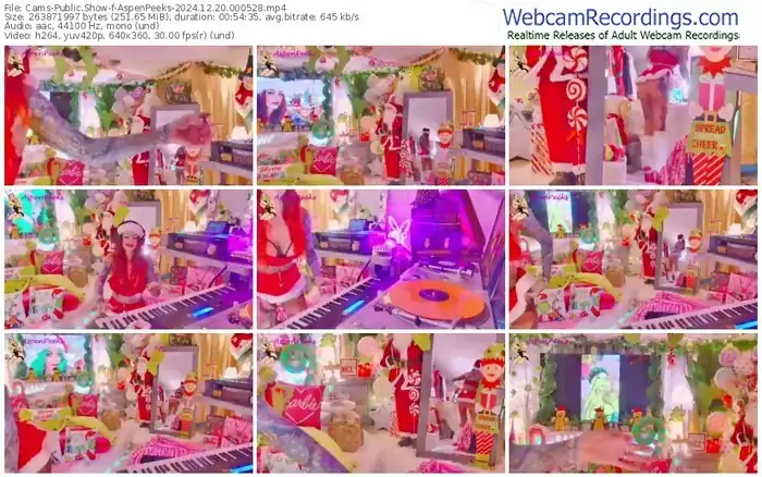 2024/12/20/cams-aspenpeeks-00-05-28
