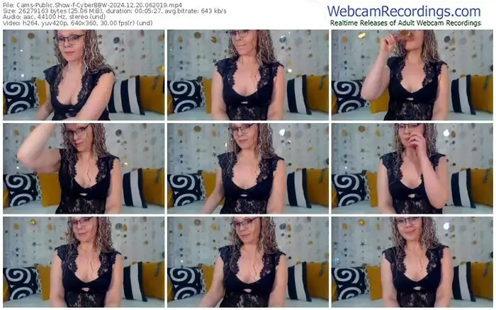 2024/12/20/cams-cyberbbw-06-20-19