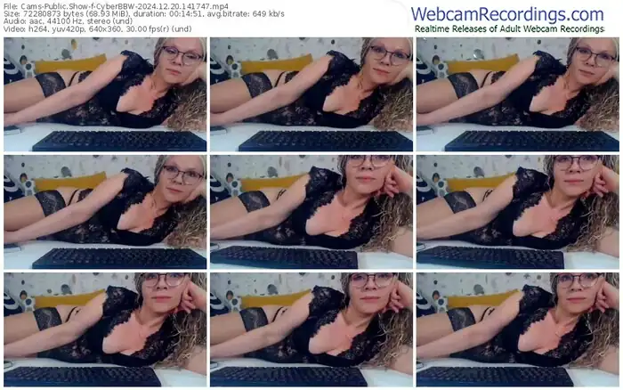 2024/12/20/cams-cyberbbw-14-17-47