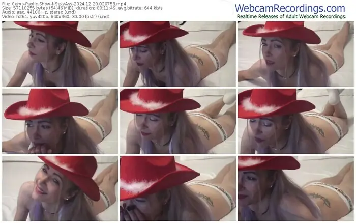 2024/12/20/cams-sexyass-02-07-58