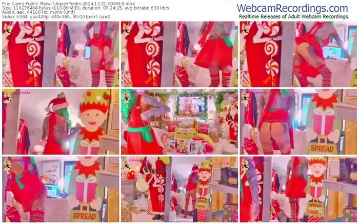 2024/12/21/cams-aspenpeeks-00-06-16