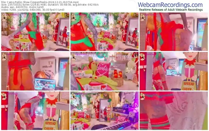 2024/12/21/cams-aspenpeeks-01-07-34