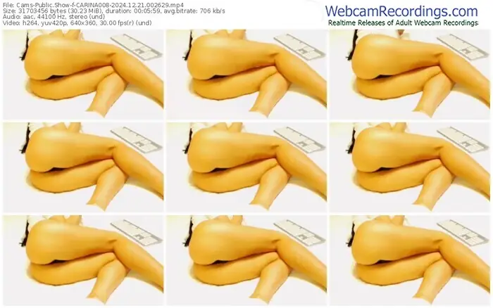 2024/12/21/cams-carina008-00-26-29