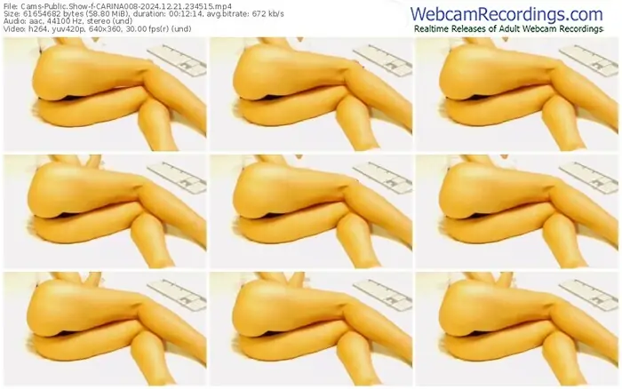 2024/12/21/cams-carina008-23-45-15