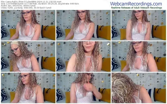 2024/12/21/cams-cyberbbw-13-15-30