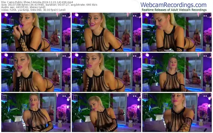 2024/12/22/cams-amida-14-14-38