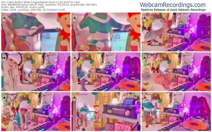 2024/12/22/cams-aspenpeeks-01-47-31