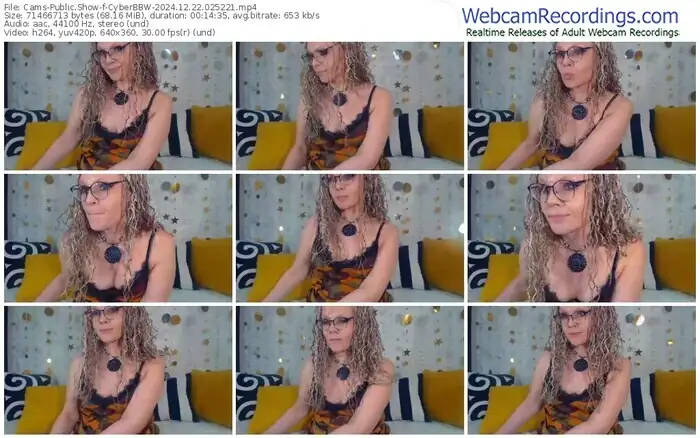2024/12/22/cams-cyberbbw-02-52-21