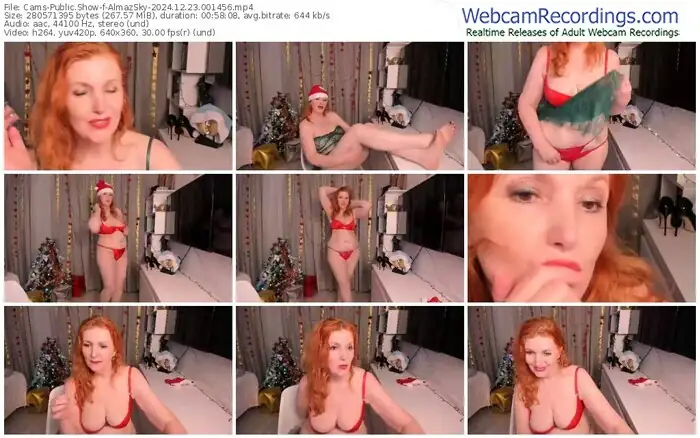 2024/12/23/cams-almazsky-00-14-56