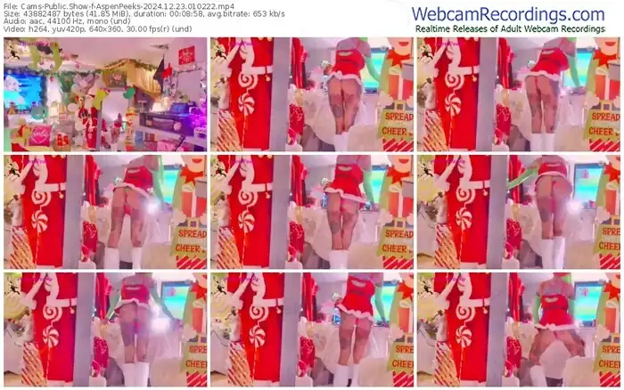 2024/12/23/cams-aspenpeeks-01-02-22