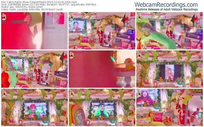 2024/12/23/cams-aspenpeeks-01-22-04