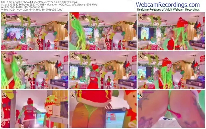 2024/12/23/cams-aspenpeeks-03-23-27