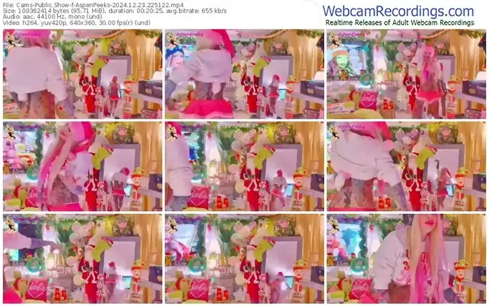 2024/12/23/cams-aspenpeeks-22-51-22