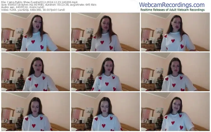 2024/12/23/cams-vesta2012-14-02-06