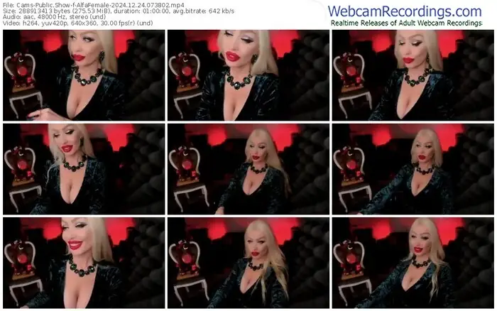 2024/12/24/cams-alfafemale-07-38-02